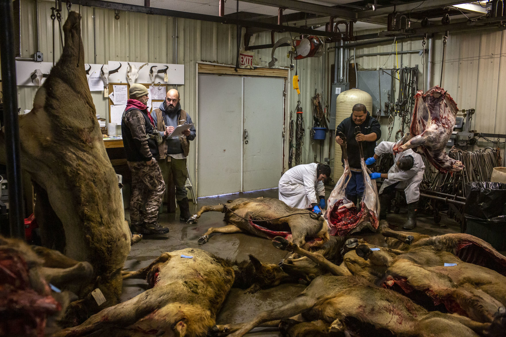 CWD reaches Jackson Hole